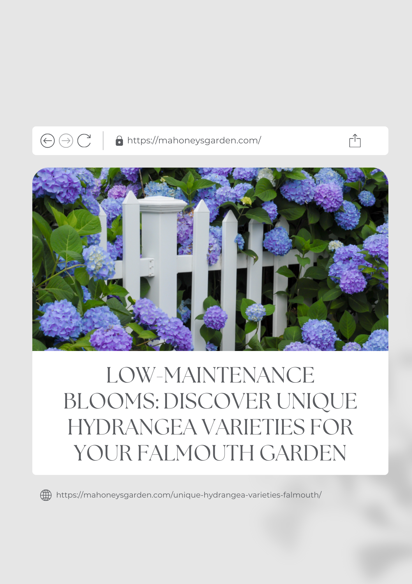 Content Marketing (Blogs and Infographics)