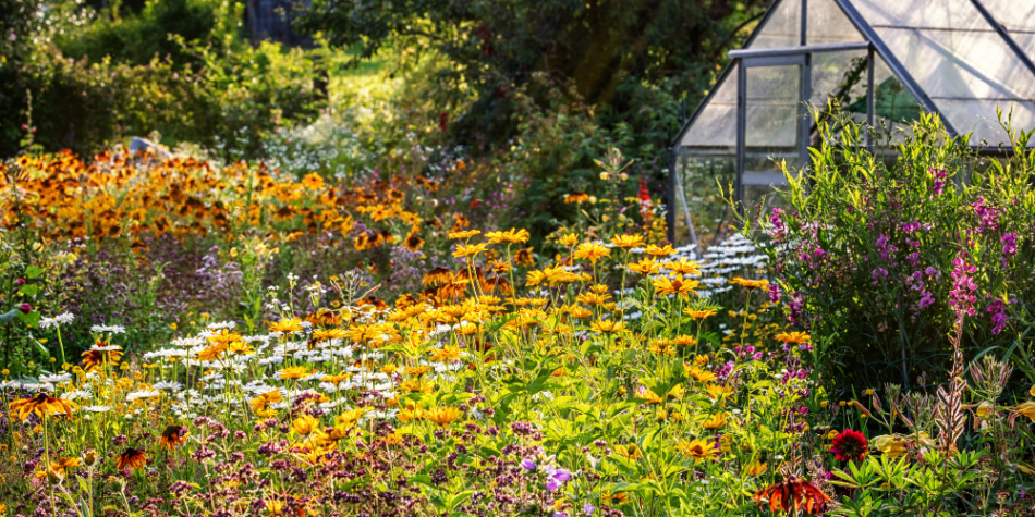 Tapping Into Trends: How Chaos Gardening Can Set Your Garden Center Apart