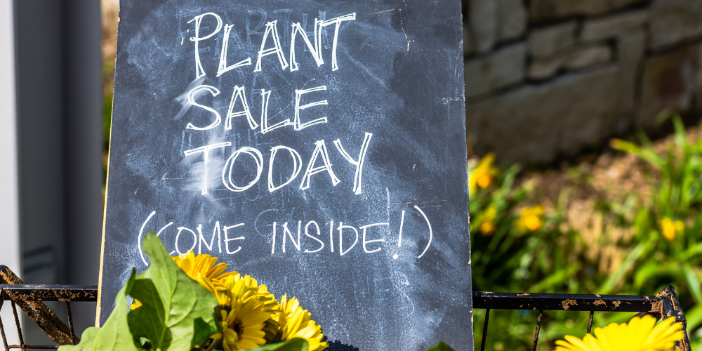 Dig Marketing-Sherwood Park, Alberta-Plant Nursery Advertising-chalkboard sign plants
