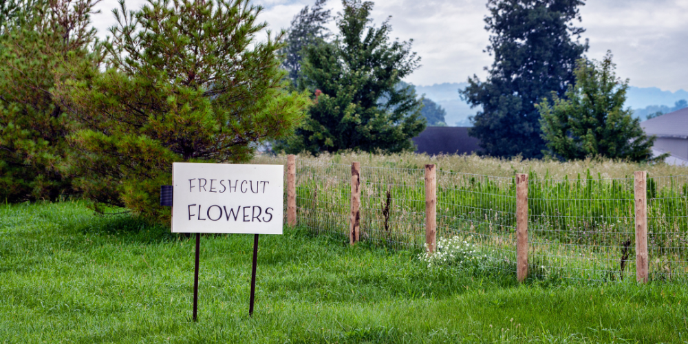 Dig Marketing-Sherwood Park, Alberta-Plant Nursery Advertising-flower sign on road