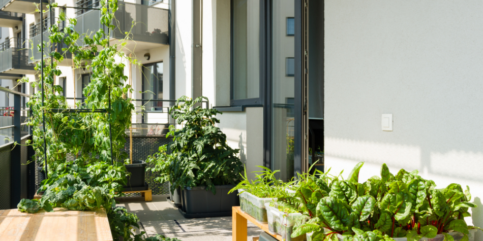 The Ultimate Guide to Millennial-Friendly Gardening