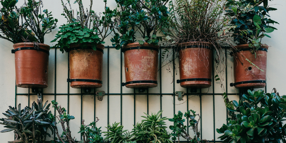 Dig Marketing-Sherwood Park-Alberta-Millennial Gardening-vertical garden pots on metal railing