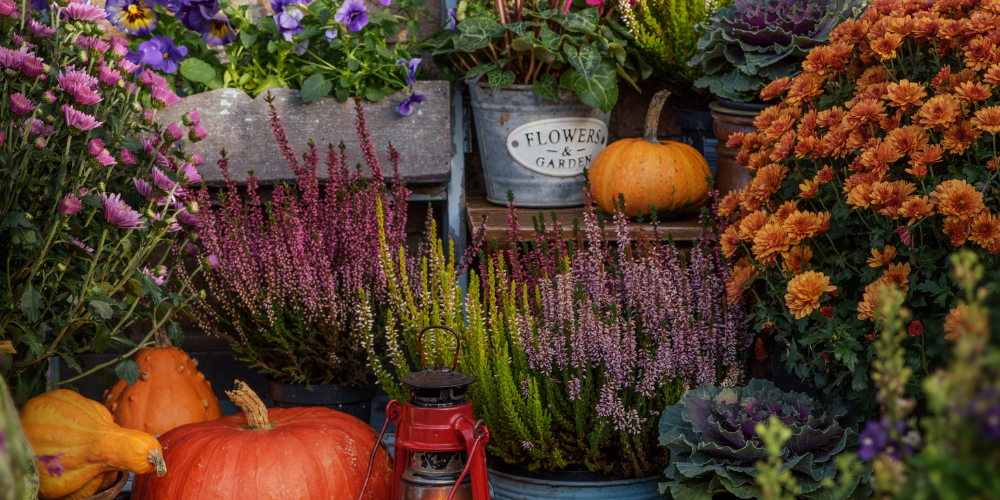 Salisbury Landscaping-Sherwood Park-Alberta-Summer Strategies for Garden Centres-fall display of flowers and gourds garden center
