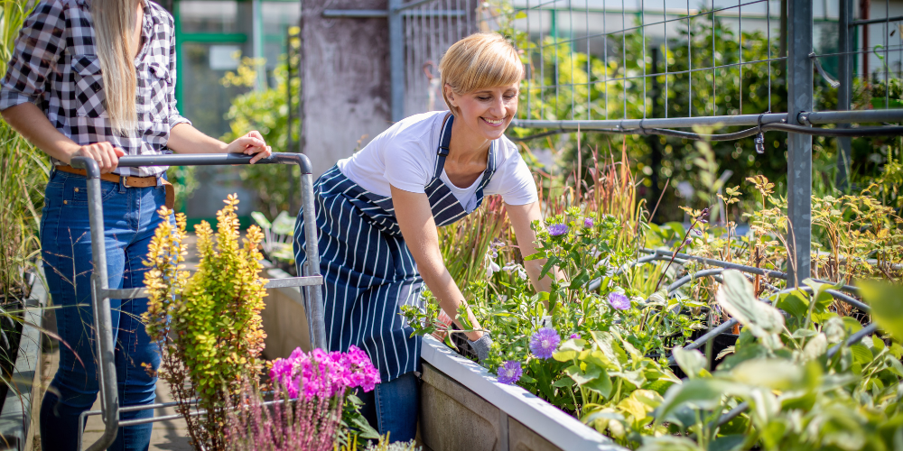 The Summer Slump is Real, But Your Garden Center Doesn’t Have To Suffer