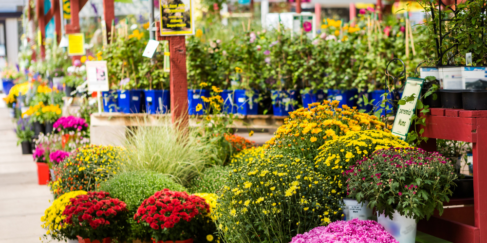 Dig Marketing-Sherwood Park-Alberta-fall gardening