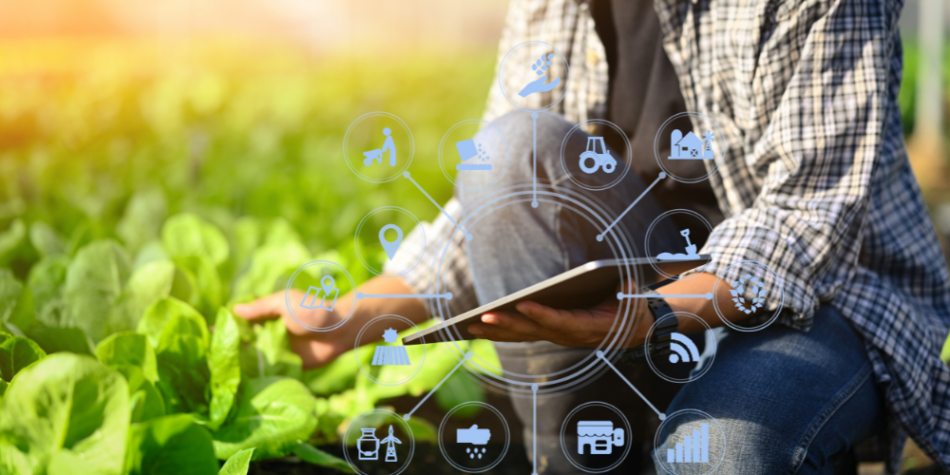 How AI Can Optimize Your Garden Center’s Workflow