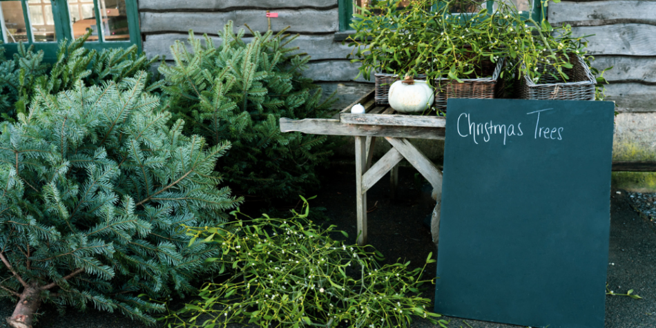 AI Tools for Garden Centers