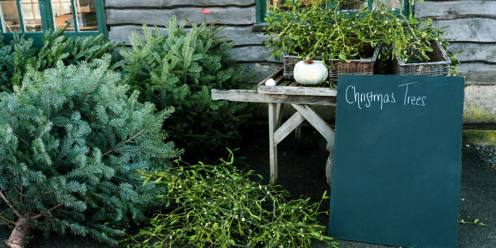 AI Tools for Garden Centers