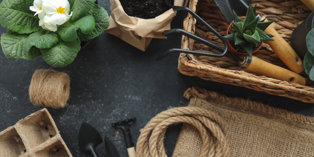 Off-Season Marketing Strategies