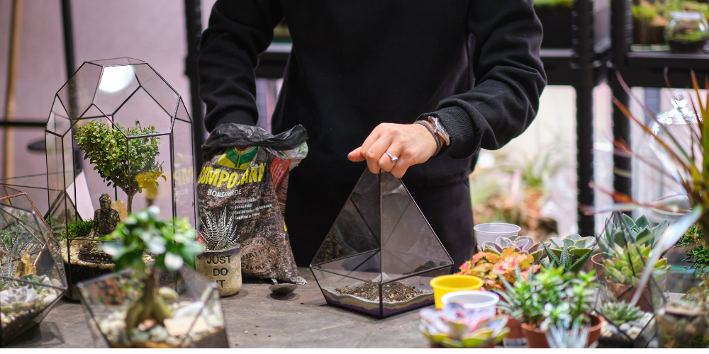 Dig-sherwood-park-beyond-the-season-workshop