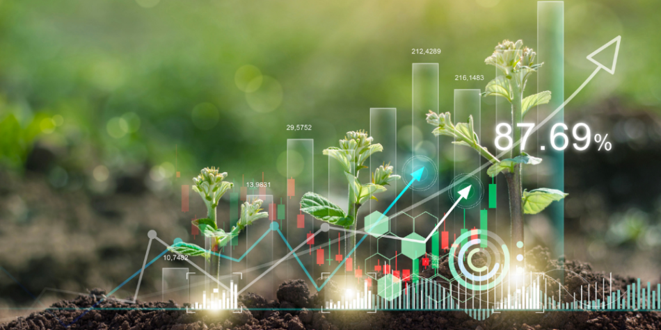 Spring Marketing Strategies for Garden Centers