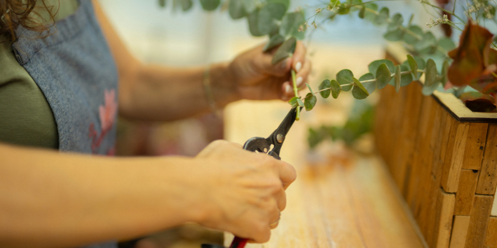 Dig-Marketing-Sherwood-Park-Alberta-Indoor-Gardening-Workshops-for-Retail-Stores-Park-Alberta-Spring-Garden-Center-Marketing-Tips