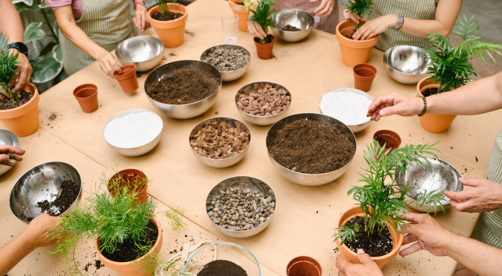 Dig Marketing-Edmonton-Alberta-Get to know your customers-plant workshop