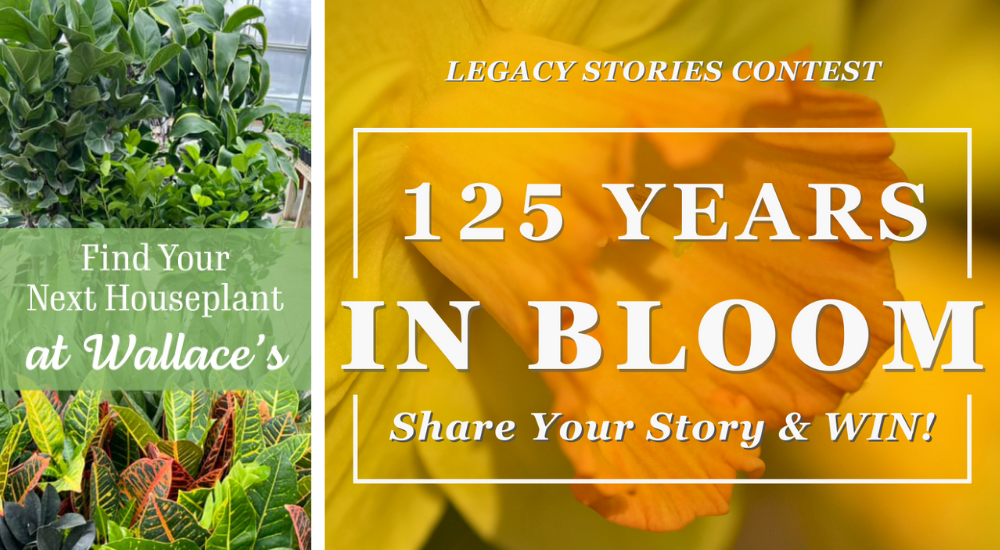 Dig Marketing-Edmonton-Alberta-Why Garden Center Ads Get Ignored-example ads