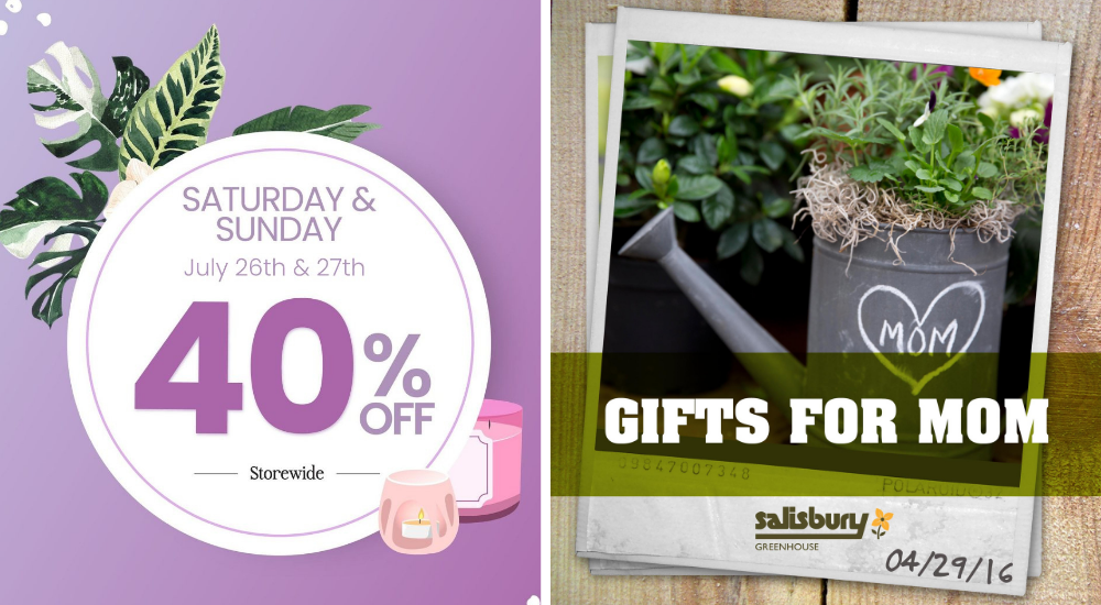 Dig Marketing-Edmonton-Alberta-Why Garden Center Ads Get Ignored-facebook ads