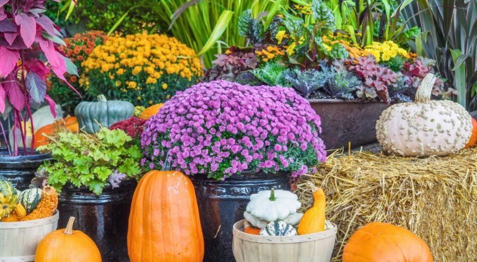 Your Social Media Calendar, Sorted