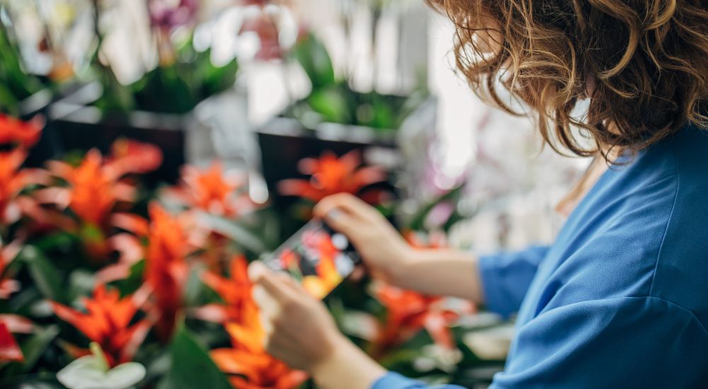 Dig Digital-Sherwood Park-Alberta-Fall Social Media Calendar-take photos of stock