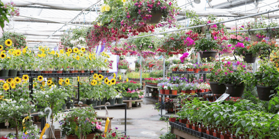 Garden Center Metrics Made Simple