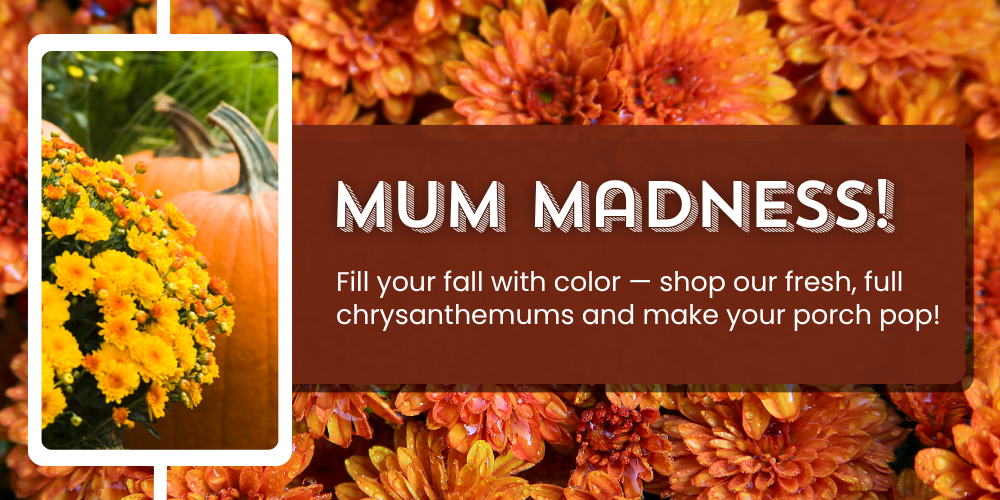 Dig Marketing-Sherwood Park-Alberta-Easy Ad Ideas That Work-mum ad (4)