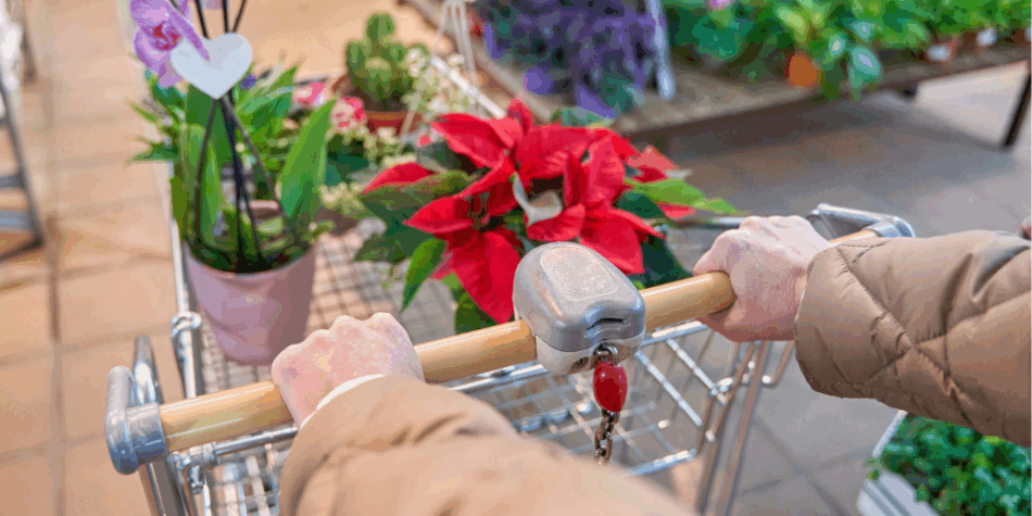 Smart Ways to Automate Your Holiday Marketing