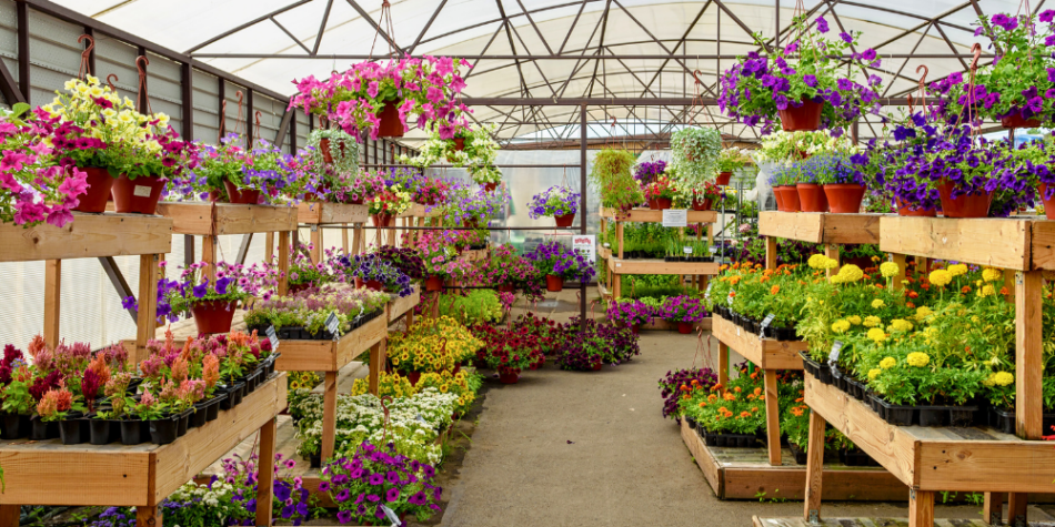 Look Back to Grow Forward