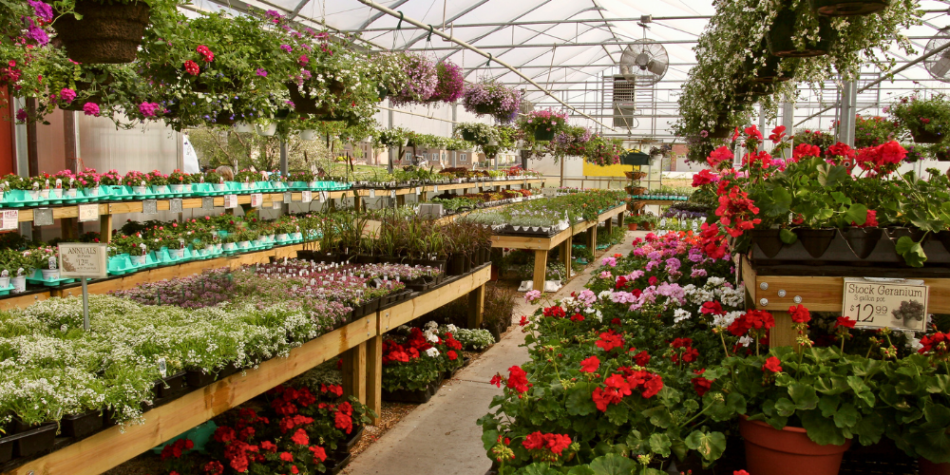 Gardening Center Trends to Watch for 2026