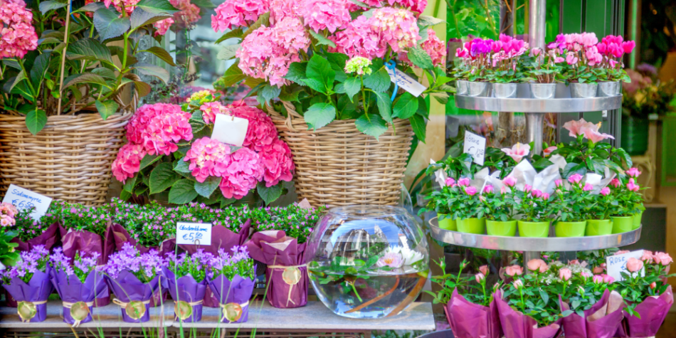 Branding Beyond the Logo