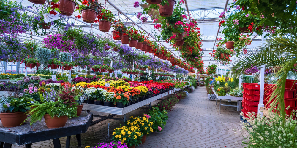 Dig Marketing-Sherwood Park-Alberta-Branding Beyond the Logo-inside garden center