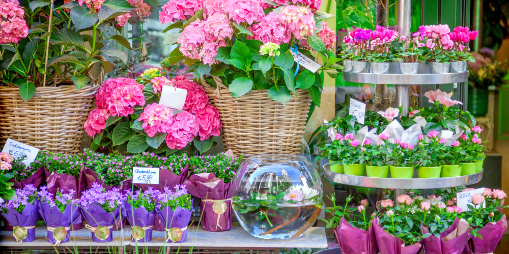 Branding Beyond the Logo