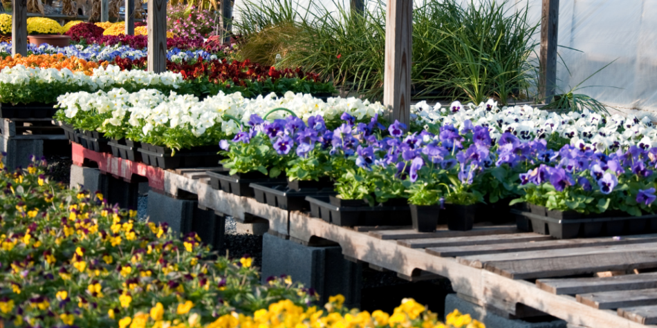 How Garden Centers Can Get More Sales From Their Email List
